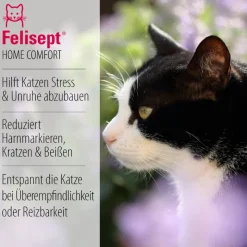 Felisept Home Comfort Set - kissan rauhoittamiseen