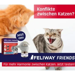 Feliway Friends