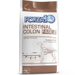 Forza10 Active Line - Intestinal Colon Phase 2