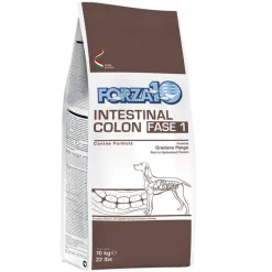 Forza10 Active Line - Intestinal Colon Phase 1