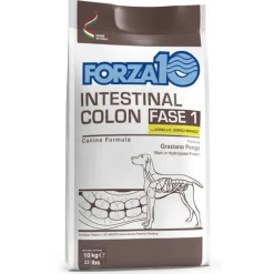 Forza 10 Intestinal Colon Phase 1 lammas