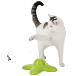 Funny Butterfly