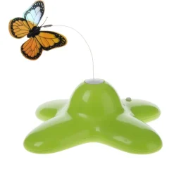 Funny Butterfly