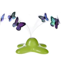 Funny Butterfly