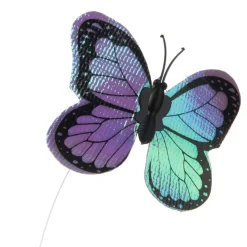 Funny Butterfly
