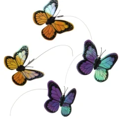 Funny Butterfly