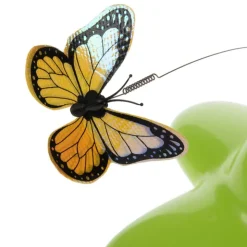 Funny Butterfly