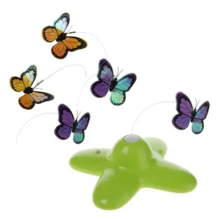 Funny Butterfly