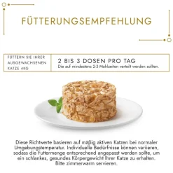 Gourmet Gold Ragout -jumbopakkaus 96 x 85 g
