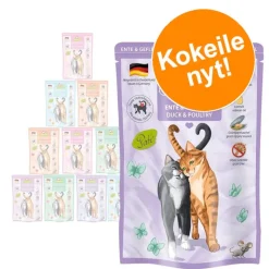 GranataPet DeliCatessen Pouch -kokeilupakkaus 6 x 85 g