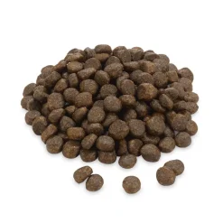 Greenwoods Adult -säästöpakkaus 3 x 3 kg