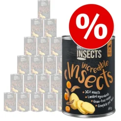 Greenwoods Insects - hyönteisiä, perunaa ja porkkanaa