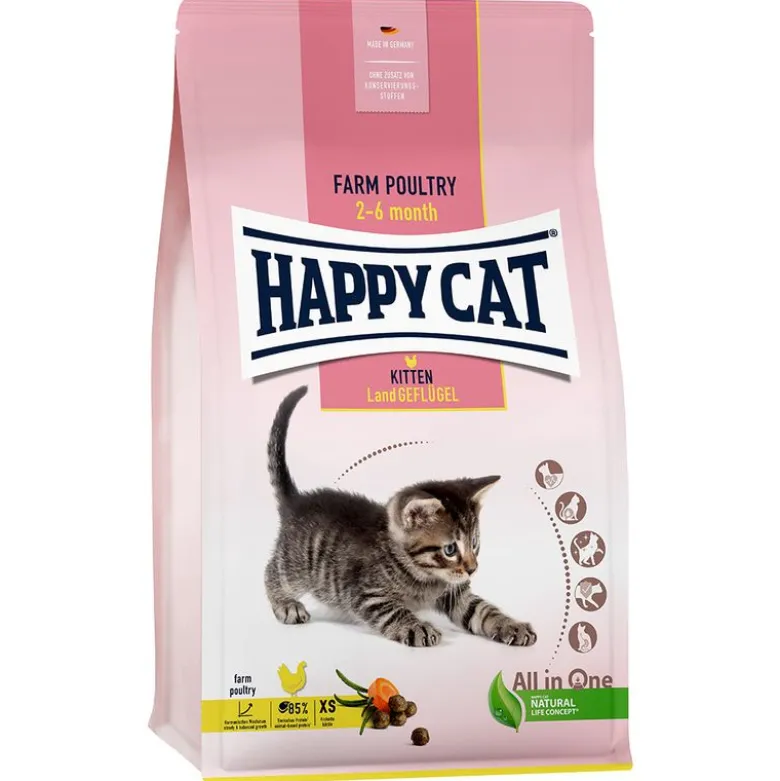 Happy Cat Young Kitten Farm Poultry