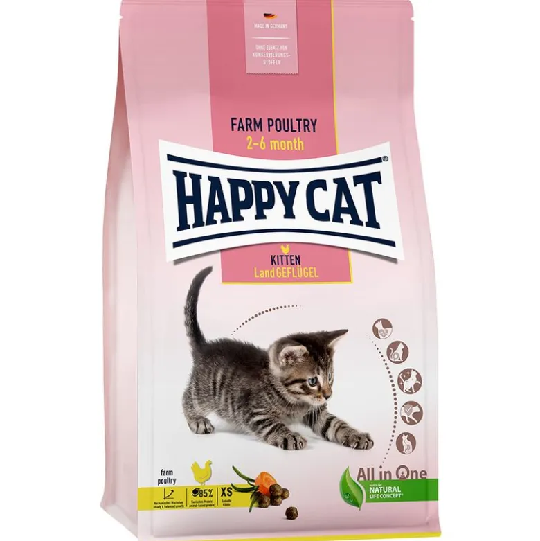 Happy Cat Young Kitten Farm Poultry
