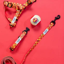 Harry Potter Rohkelikko -valjaat