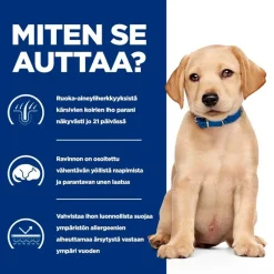 Hill's Prescription Diet Derm Complete Puppy