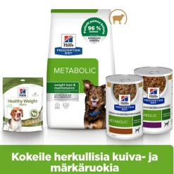 Hill's Prescription Diet Metabolic Weight Management lammas ja riisi