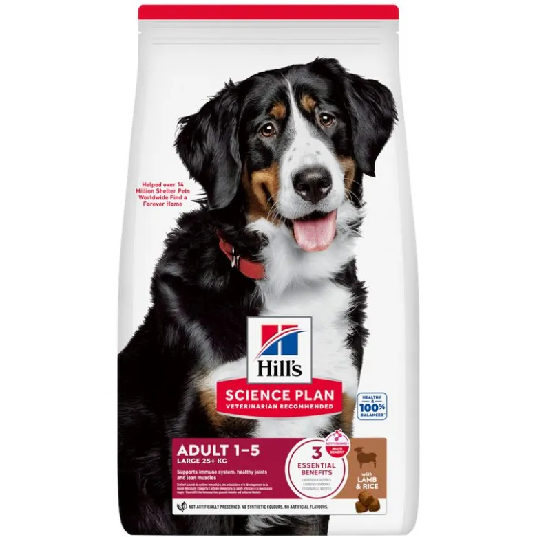 Hill's Science Plan Adult 1-5 Large Breed lammas ja riisi