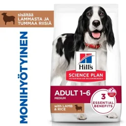 Hill's Science Plan Adult 1-6 Medium lammas ja riisi