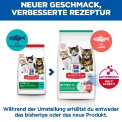 Hill's Science Plan Kitten <1 lohi