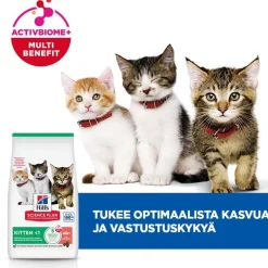 Hill's Science Plan Kitten <1 lohi