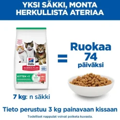 Hill's Science Plan Kitten <1 lohi