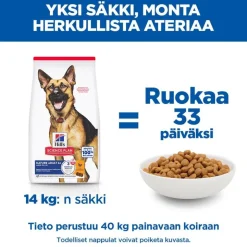 Hill's Science Plan Mature Adult 6+ Large kana