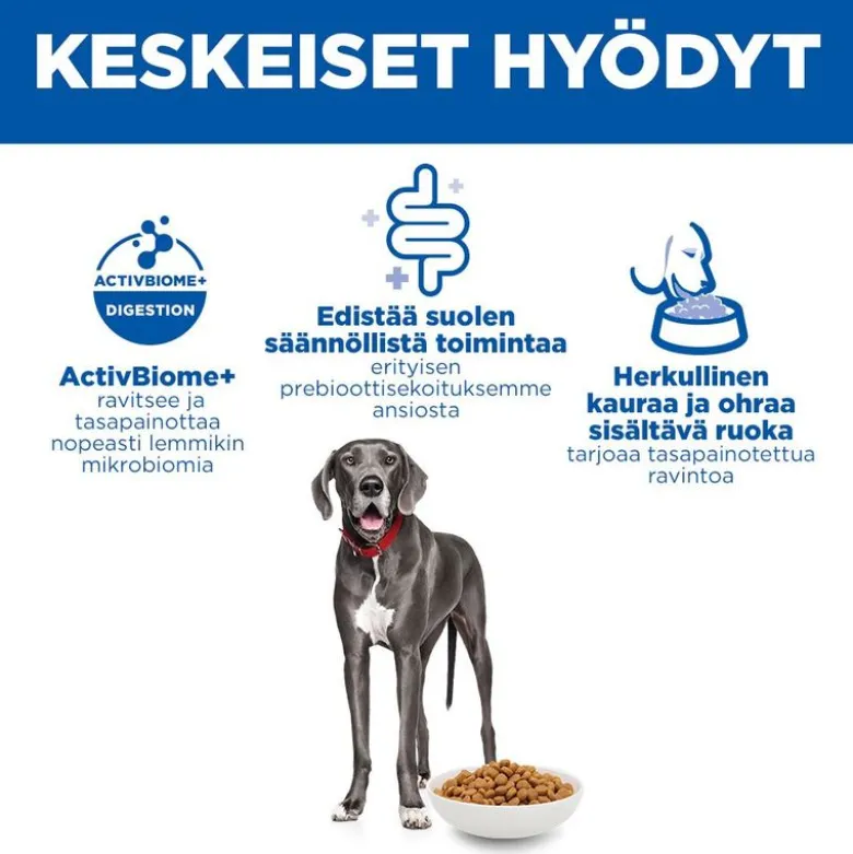 Hill's Science Plan Perfect Digestion Adult Large kana & ruskea riisi