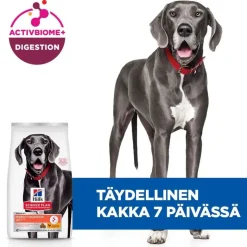 Hill's Science Plan Perfect Digestion Adult Large kana & ruskea riisi