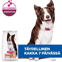 Hill's Science Plan Perfect Digestion Adult 1+ Medium kana ja ruskea riisi