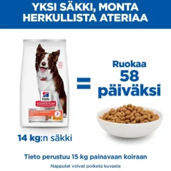 Hill's Science Plan Perfect Digestion Adult 1+ Medium kana ja ruskea riisi