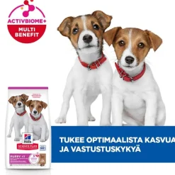 Hill's Science Plan Puppy Small & Mini lammas & riisi