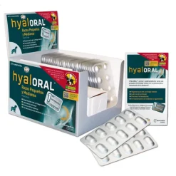 Hyaloral pienet ja keskikokoiset rodut