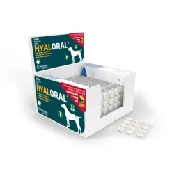 Hyaloral suuret ja erittäin suuret rodut