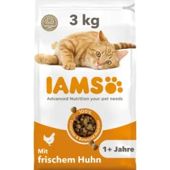 IAMS Advanced Nutrition Adult Cat kana