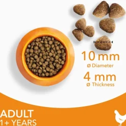 IAMS Advanced Nutrition Adult Cat kana