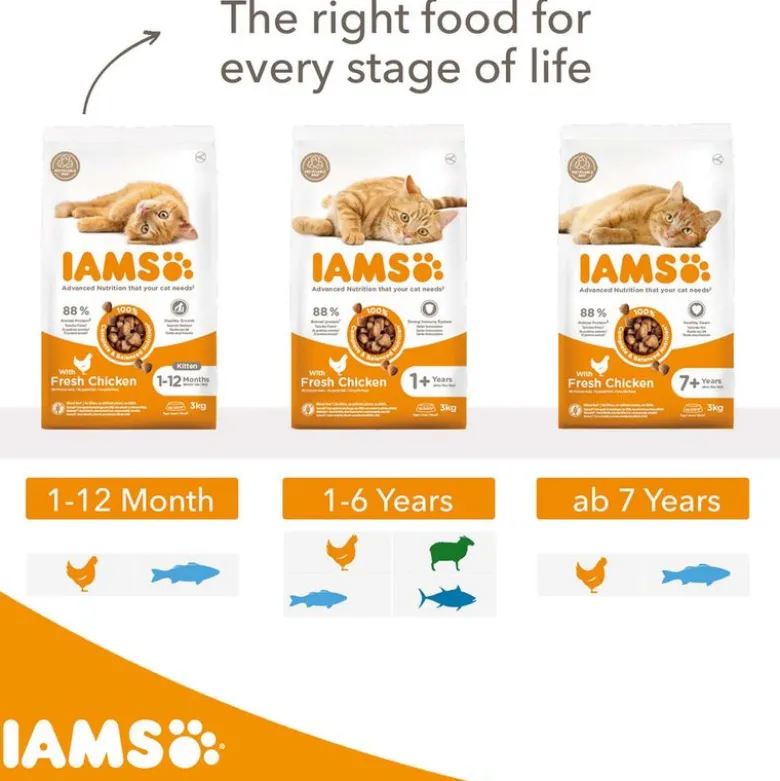 IAMS Advanced Nutrition Adult Cat with Lamb