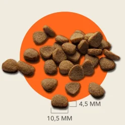 IAMS Advanced Nutrition Grain Free merikala