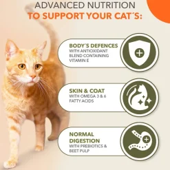 IAMS Advanced Nutrition Grain Free merikala