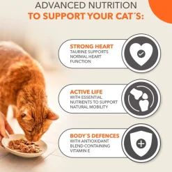 IAMS Advanced Nutrition Senior 7+ Land & Sea Collection hyytelössä
