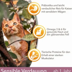 IAMS for Vitality Sensitive Digestion Adult & Senior kalkkuna