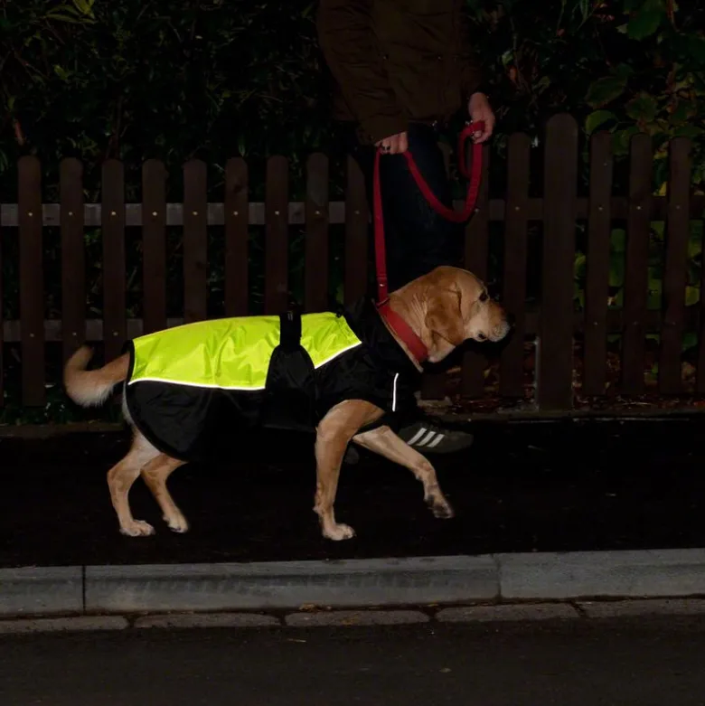 Illume Nite Neon -heijastinliivi
