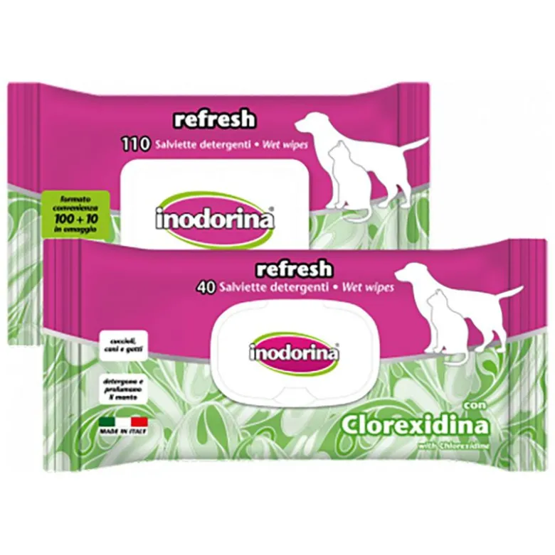 Inodorine Klooriheksidiinipyyhkeet