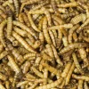JR Farm jauhomadot, erityisen runsaasti proteiinia