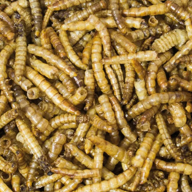 JR Farm jauhomadot, erityisen runsaasti proteiinia