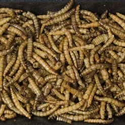 JR Farm purkitetut jauhomadot