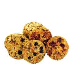 JR Farm Wholemeal Fruit Selection Cookies