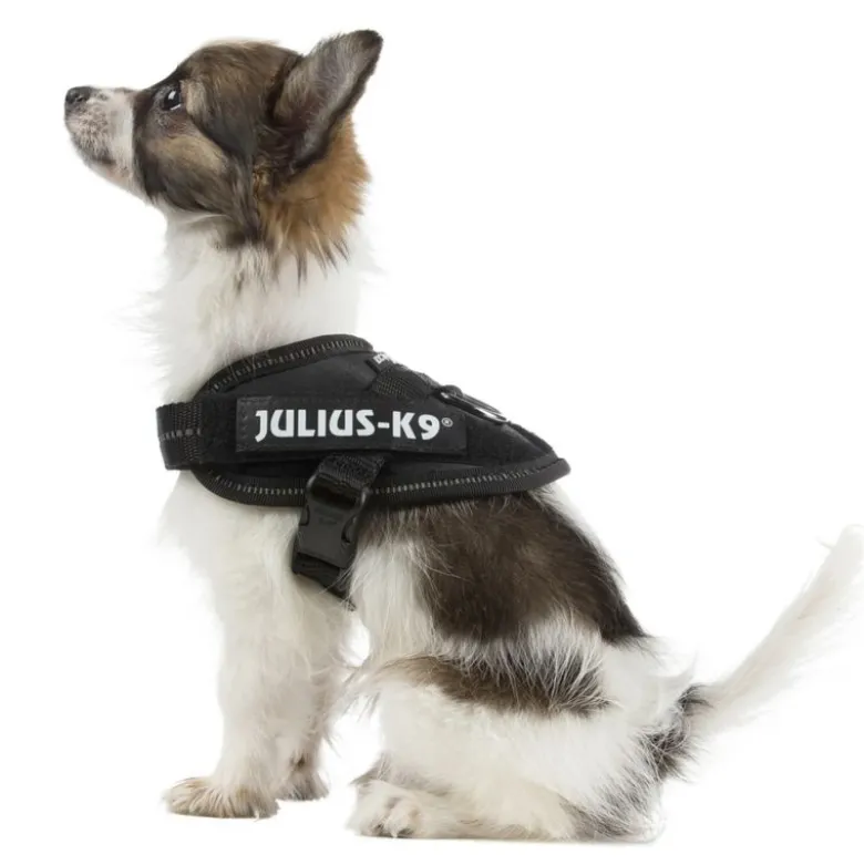 JULIUS-K9 IDC® Power -koiranvaljaat, musta