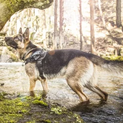 JULIUS-K9 IDC® Power -koiranvaljaat, maastokuosi