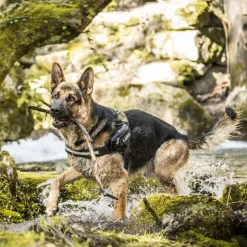 JULIUS-K9 IDC® Power -koiranvaljaat, maastokuosi